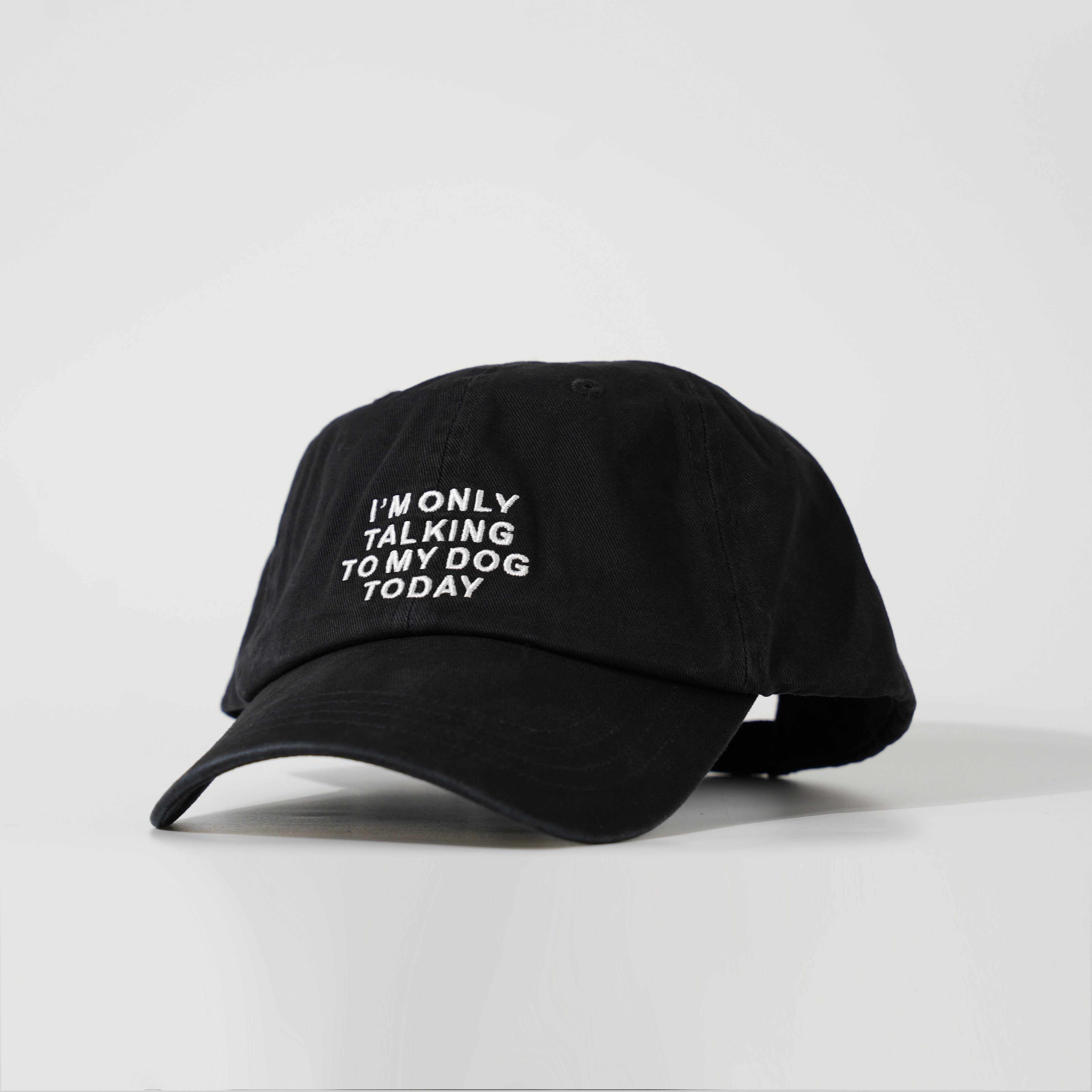 I'm Only Talking to My Dog Today Hat