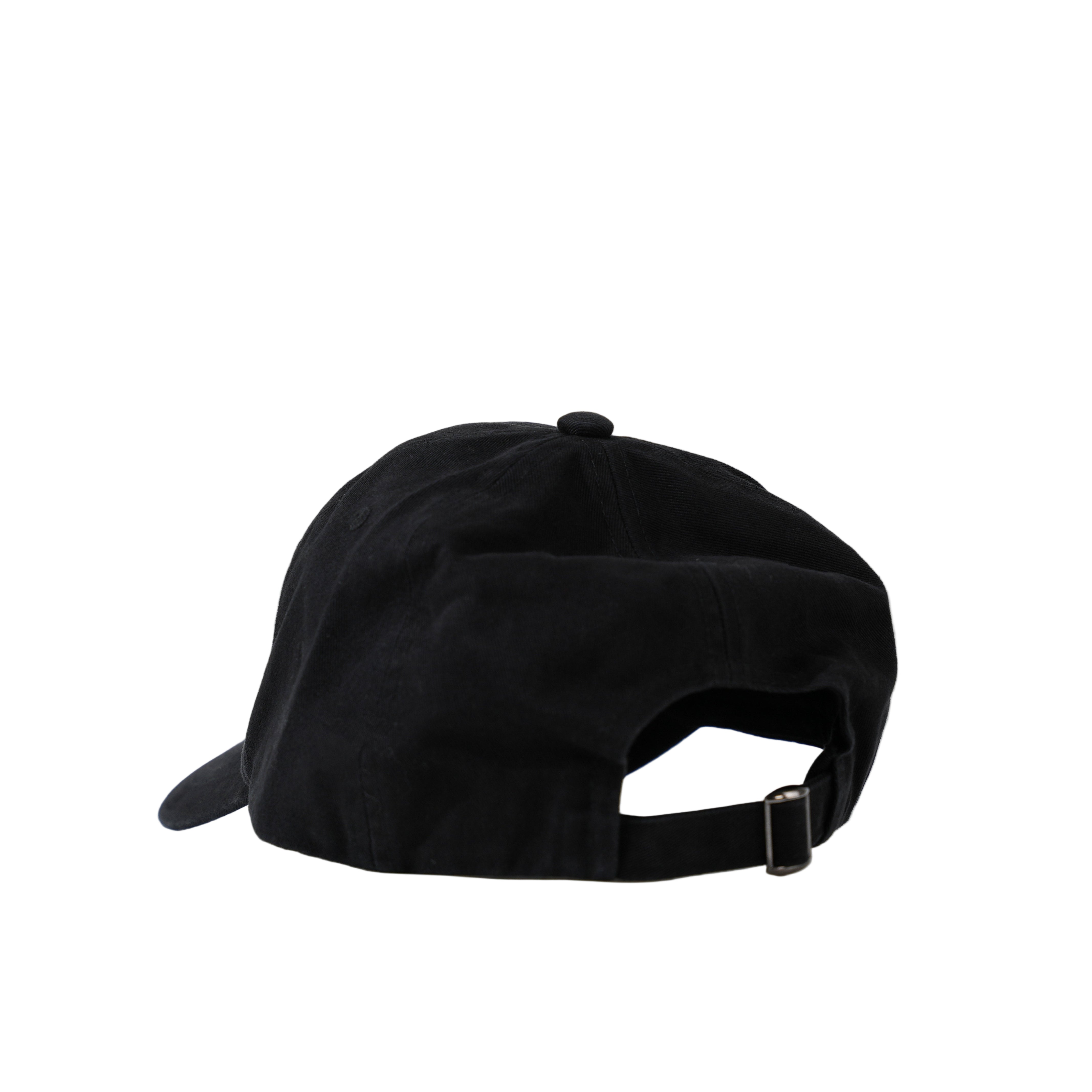 I'm Only Talking to My Dog Today Hat